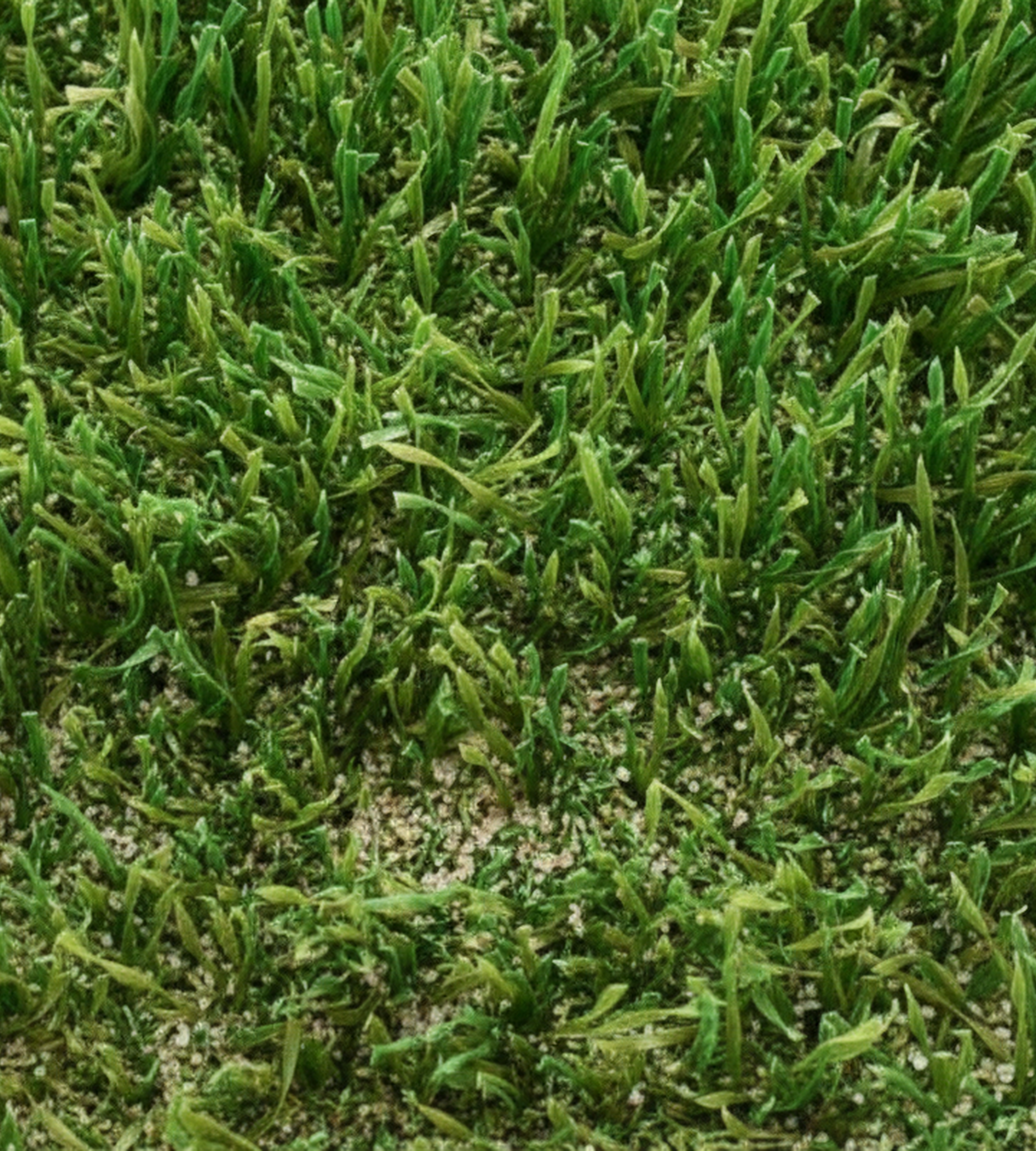 Artificial grass infill system