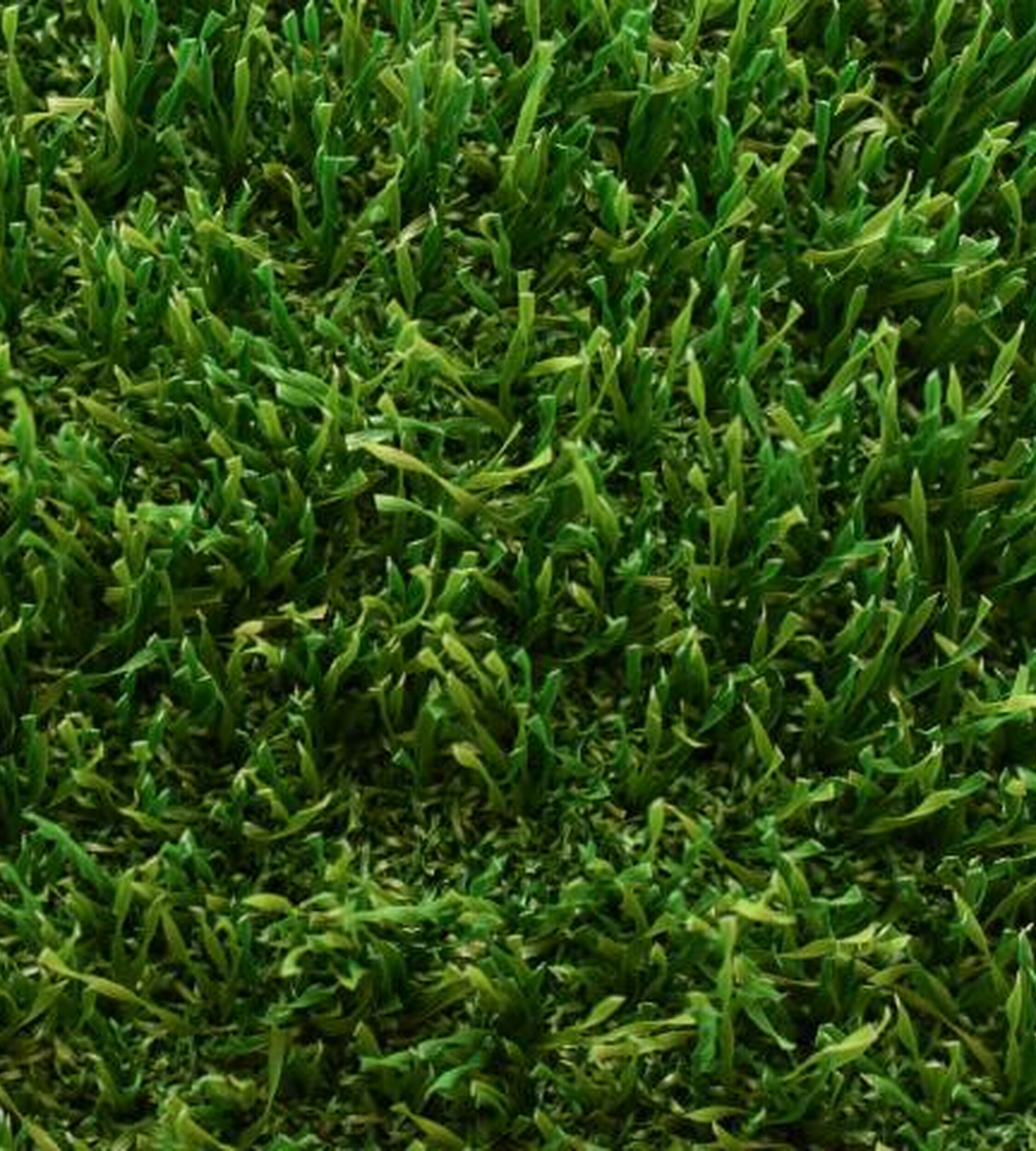 Sports artificial grass